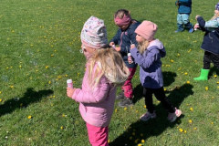 ea3c55a2-adf5-40d0-b5c0-9fdc6cac00d6