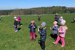 ffd9f1d8-79e2-47d7-ba58-61ca448565e5