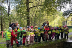 49d74cdc-0120-45a7-852b-3bb5e3d269bb