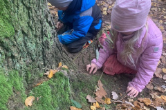 57de553f-52b4-47fa-af44-17b9be5a55cd