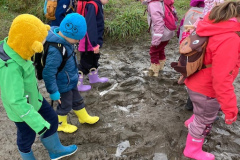 f8a72f0a-e0b2-44d7-b5a2-676d62db9687