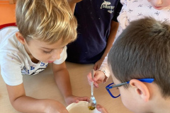 fd699f5a-7258-4860-8d55-241c0cb218c3