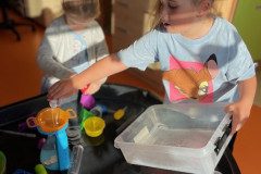 IMG_6621