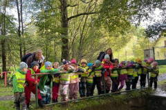 49d74cdc-0120-45a7-852b-3bb5e3d269bb