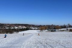 IMG_6039