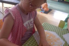 DSCN5790