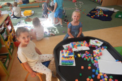 DSCN4501