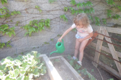 DSCN4515