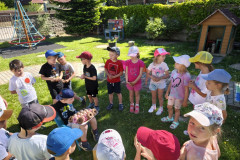 IMG_20260525_092453