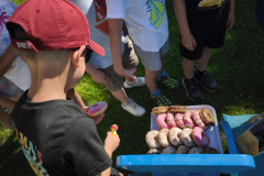 IMG_20260525_092659