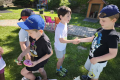 IMG_20260525_092704