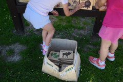 IMG_20260525_094204