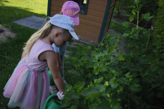 IMG_20260527_084242
