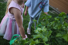 IMG_20260527_084247