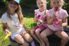 IMG_20260527_103454
