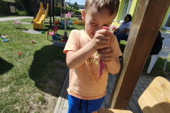 IMG_20260527_103655