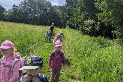 PXL_20240529_075331219