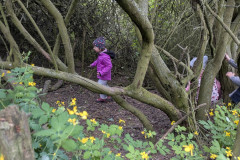 PXL_20260514_082949787