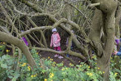 PXL_20260514_082955171