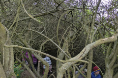 PXL_20260514_083016598
