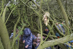 PXL_20260514_083112212