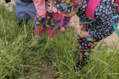 PXL_20260515_075835715