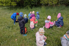 PXL_20260515_080546149