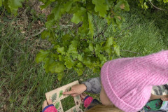 PXL_20260515_081532757
