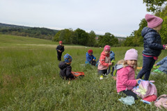 PXL_20260515_081631465