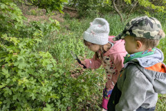 PXL_20260515_081652883