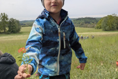 PXL_20260515_082053913
