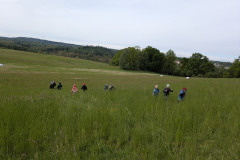 PXL_20260515_082133994