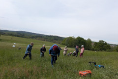 PXL_20260515_082310530