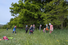 PXL_20260515_083015482