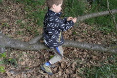PXL_20260515_090254294
