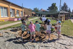 PXL_20260525_080942343