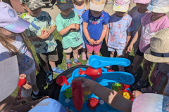 PXL_20260525_090325670