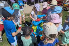PXL_20260525_091103811