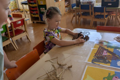 PXL_20260527_060504133