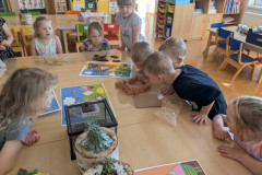 PXL_20260527_065401835