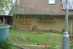 DSC05902