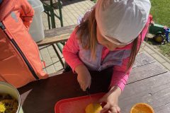 IMG_8520