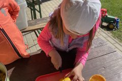 IMG_8521