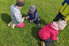 PXL_20230517_075026121