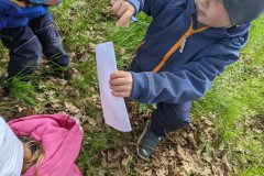 PXL_20230517_080139346