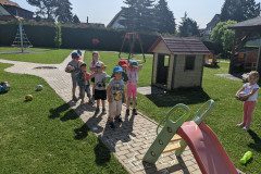 PXL_20230529_073057756