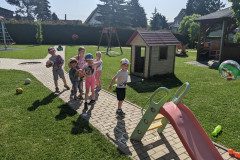 PXL_20230529_073106288
