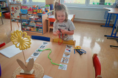 IMG-20260505-WA0008