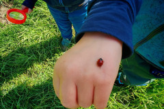 IMG-20260528-WA0025