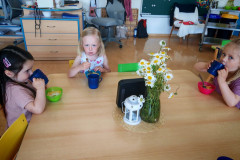 IMG-20260528-WA0034